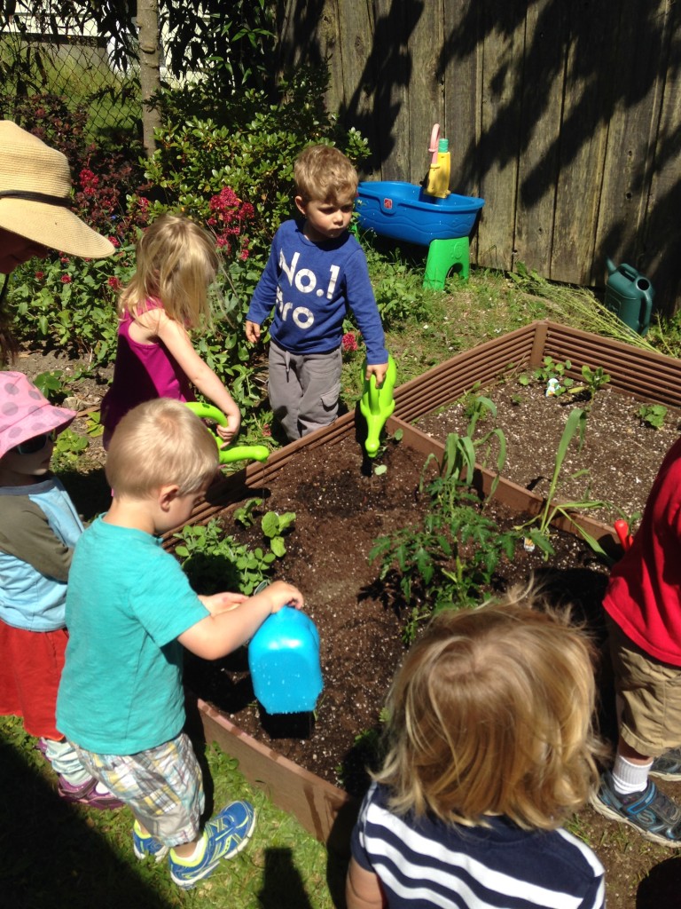 Crown Hill Explorers Cooperative Preschool – Nature vs. Nurture ...